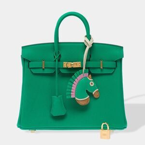 Hermès Birkin 25 Handbag